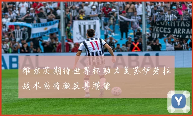 维尔茨期待世界杯助力复苏伊劳拉战术或将激发其潜能